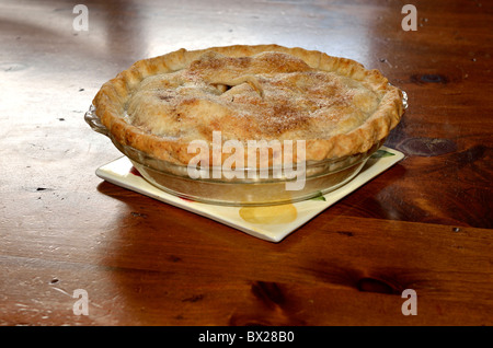 Ein frisch-gebackenen Apfelkuchen sitzen auf einem Keramik Untersetzer Kachel kühlt an einem hölzernen Tisch. USA Stockfoto