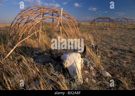 Great Falls Montana USA USA Amerika 10817091 Indian Native Americans schwarzen Fuß indische Sauna Blackfeet Indian bison Stockfoto