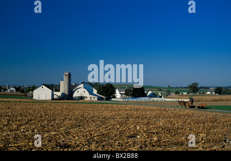 Pennsylvania USA United States America10817156 alte altmodische amische Landwirte Käfige Pferde Feld Bauernhof l Stockfoto