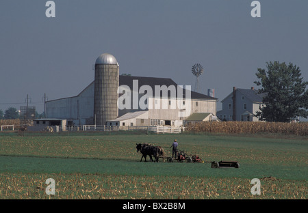 Paradies Pennsylvania USA USA Amerika alte altmodische Vogel amische Landwirte Käfige Pferde Feld Bauernhof l Stockfoto