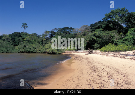 Sandy Beach Fazenda Sao Franzisco Ilha Do Marajó Amazon Delta Amazon Brasilien Südamerika Stockfoto