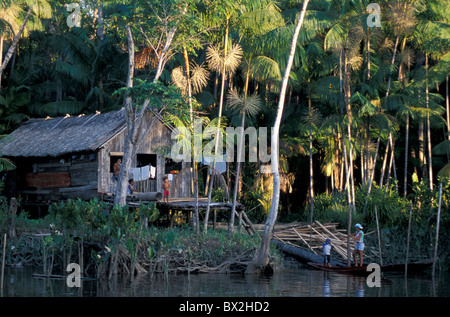 Nach Hause Amazonas Ilha Do Marajó Amazon Delta Amazon Brasilien Südamerika Stockfoto