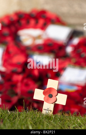 Gedenktag Kreuze und Mohn am Abbey Park Kriegerdenkmal in Evesham Worcestershire UK Stockfoto