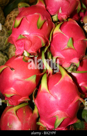 Drachenfrucht auf einem Markt in Thailand. Stockfoto