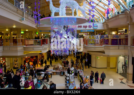 Einkaufszentrum, Schloss Mall, Norwich, Norfolk, Großbritannien Stockfoto