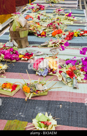 Bali indonesien frauen suchen männer