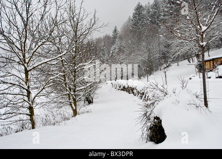 Schneewittchen im Zauberwald Stockfoto