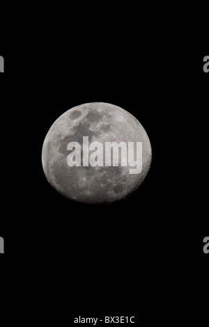 Foto von einem fast Vollmond vor einem schwarzen Himmel. Das Foto wurde im Krüger Nationalpark, Südafrika. Stockfoto