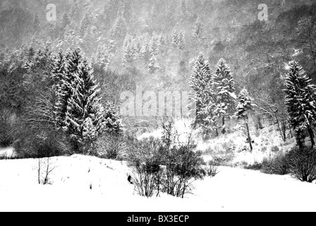 Schneewittchen im Zauberwald Stockfoto