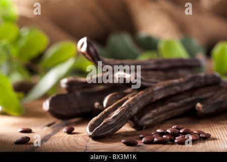 Johannisbrot Schoten Stockfoto