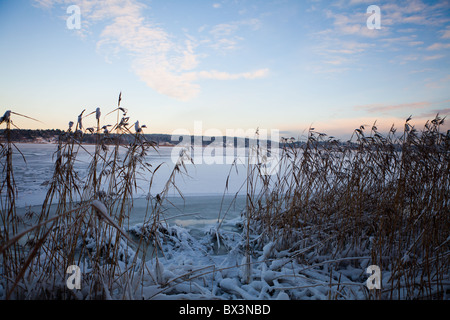 Stockholmer Schären Stockfoto