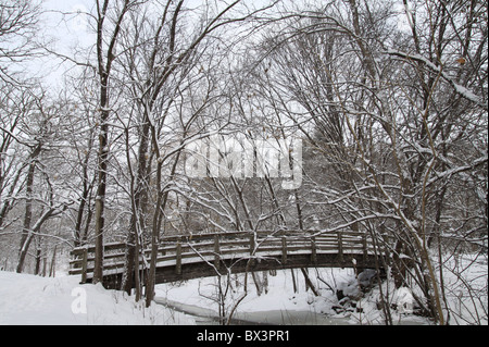 Eine Schnee bedeckte Brücke über einen Bach in Minneapolis, Minnesota im Winter. Stockfoto