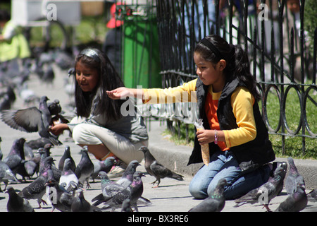 Kinder füttern der Tauben im Plaza Murillo in La Paz, Bolivien Stockfoto