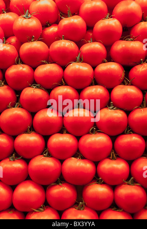 Tomaten auf dem Display in Barcelona, Spanien Stockfoto
