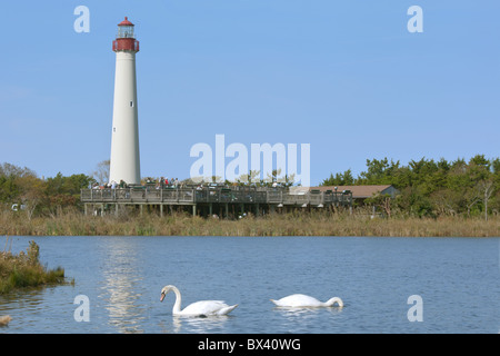 Hawk Watch Plattform in Cape May, New Jersey Stockfoto