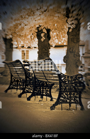 zwei Straßen Bänke unter herbstlichen Baum Framlingham Suffolkl uk Stockfoto