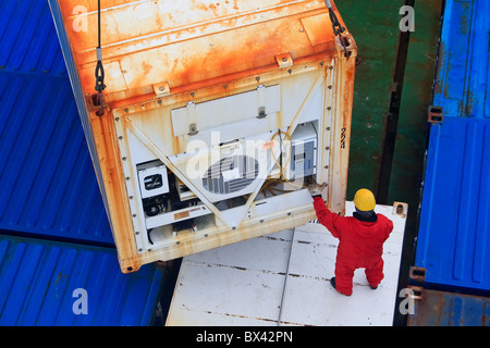 Arbeiter hilft Führer in einem kühl-Container auf einem Schiff platziert werden. Stockfoto