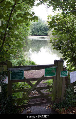 Hampden-Teich, Wendover, Buckinghamshire Stockfoto