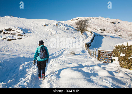 Wandern auf Loughrigg im Lake District, Großbritannien, im Winterwetter. Stockfoto