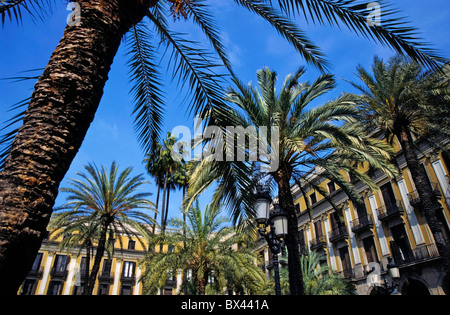 Palmen Sie und Blick auf das äußere des Plaza Real, Barcelona, Spanien. Stockfoto