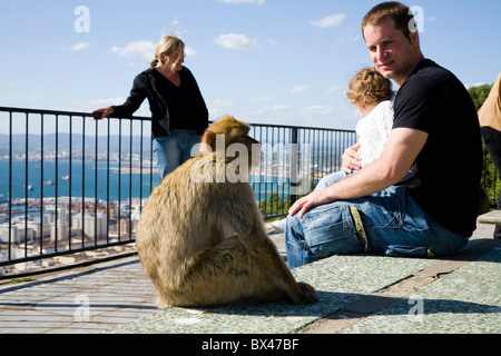 Berberaffe Affe sitzt mit einem Touristen-Familie im / am Felsen von Gibraltar. Stockfoto