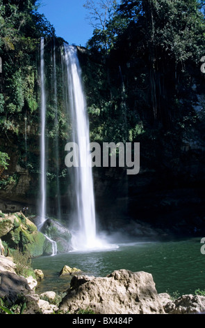 Mexiko-Chiapas Zustand Misol Ha Wasserfall Stockfoto