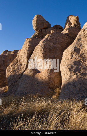 30 Millionen Jahren aus vulkanischer Asche gebildet dominieren vor, einzigartige Felsformationen jetzt City of Rocks State Park in New Mexico, USA. Stockfoto