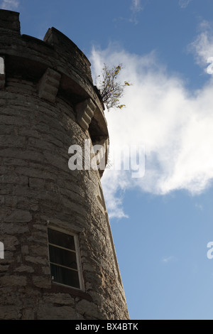 Revolver Bodelwyddan Burg in der Nähe von Bodelwyddan Denbighshire Nord-Wales Stockfoto