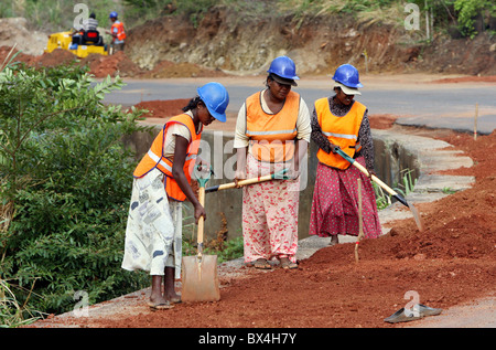 Straßenbauarbeiten durchgeführt von Frauen, Matale, Sri Lanka Stockfoto