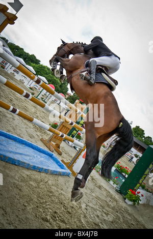 Fahrer beim Pferd springen zeigen Stockfoto