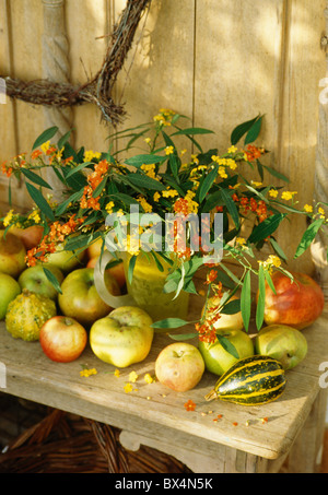 Stillleben von Herbst Beeren im Krug am Gartentisch mit Äpfeln Stockfoto