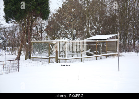 Hühner Stall oder laufen im Schnee, Hattingley, Hampshire, England, Vereinigtes Königreich. Stockfoto