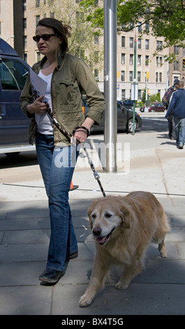 Eine Frau geht ihren golden Retriever in New York City. Stockfoto