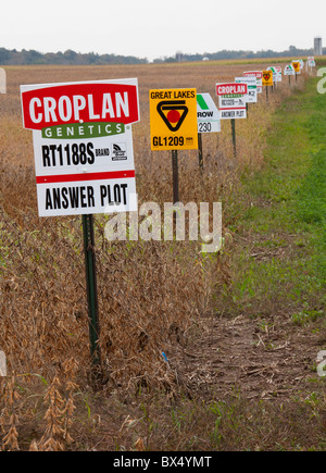 St. Nazianz, Wisconsin - Zeichen markieren verschiedene Sorten in einem Soja-Feld, einschließlich gentechnisch veränderte Pflanzen. Stockfoto
