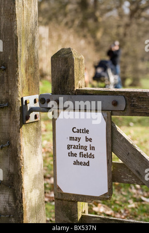 Grundbesitzers warnende Zeichen bei Eintritt in einen öffentlichen Fußweg; sagte: "können Rinder in Bereichen voraus Beweidung werden". Norfolk. Stockfoto