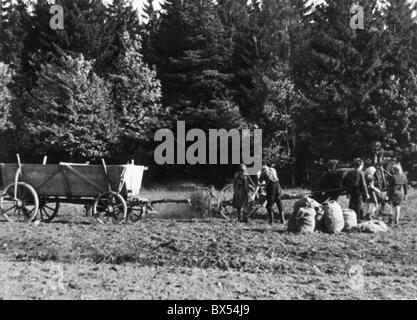 Tschechoslowakische Staatsbürger umzusiedeln Sudetenland Stockfoto