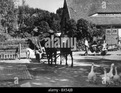 Tschechoslowakische Staatsbürger umzusiedeln Sudetenland Stockfoto