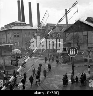 Eisen-Anlage Stockfoto