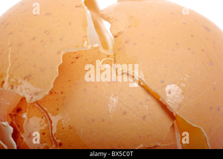 Braune Ei Makro als Kulisse oder Hintergrund geknackt. Stockfoto