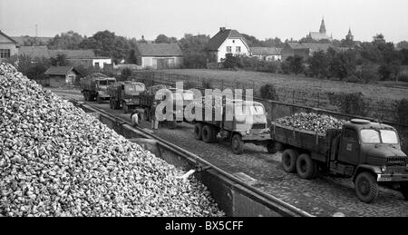 Zuckerraffinerie, Zuckerrüben, United Landw. Genossenschaft Stockfoto