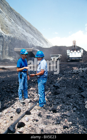 Qualität der "Kohle" Probe erklärt Ingenieur für Besucher. Stockfoto