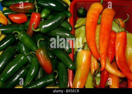 Chili peppers in dem Markt, in San Miguel de Allende, Guanajuato, Mexiko. Stockfoto