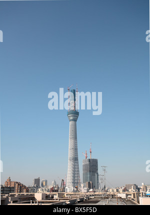 Tokio - NOVEMBER 6: The Tokyo Sky Tree Tower am 6. November 2010 in Tokio. Stockfoto