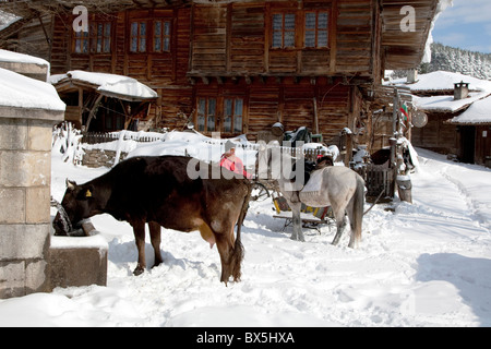 Architektonische Reserve Zheravna im Winter Kuh trinken im Dorf Tränke mit Pferd und Reiter Stockfoto