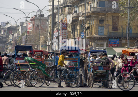 Eine Masse von Rikschas auf Chandni Chowk, der Hauptstraße in Alt-Delhi, Indien, Asien Stockfoto