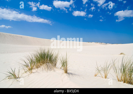 die Landschaft auf Wüste Leba - Polen Stockfoto