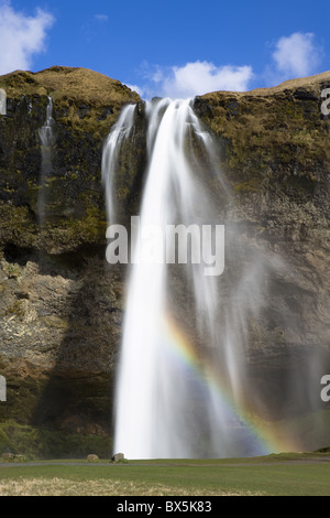 Seljalandsfoss Wasserfall über hoch aufragenden Klippen in hellem Sonnenlicht mit Regenbogen am Fuße des Wasserfalls, Island Stockfoto