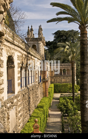 Groteske Galerie in Reales Alcazares Gärten (Alcazar Palast), Sevilla, Andalusien, Spanien, Europa Stockfoto