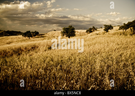 sizilianische Landschaft im Sommer Stockfoto