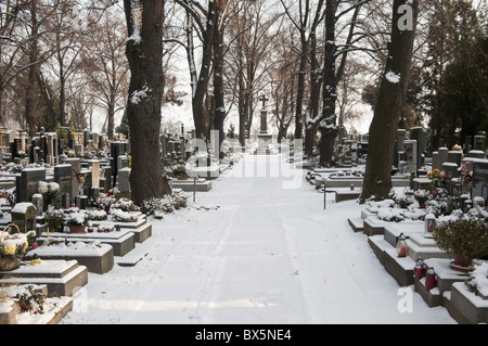 Verschneiten Friedhof, Dorf Treboradice, Prag, Tschechische Republik, Europa Stockfoto